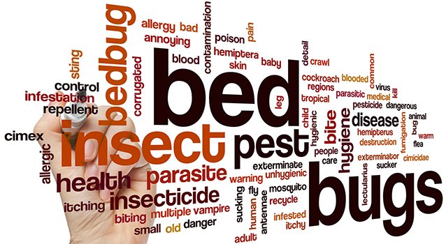 ResourceBedBug's tweet image. Hotels its 2017 #BedBugPrevention is a must!  Stop negative press bit.ly/2jcsEw7 #ResourceBedBug #BedBugs @ResourceBedBug