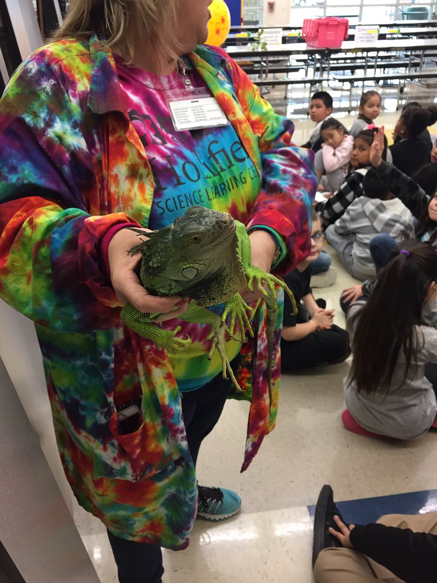 mendenhallthird's tweet photo. Great science lesson on food chains! #mendenhalllearns https://t.co/H8aG7E4Orq