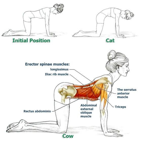 Broadwayptrehab's tweet photo. What a great stretch for the core (back, abs...) Do daily three sets with a 30 sec hold #corestretch #backstretch https://t.co/YN6eP8JceZ