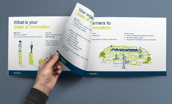 Complete Idiot\\'s Guide to American