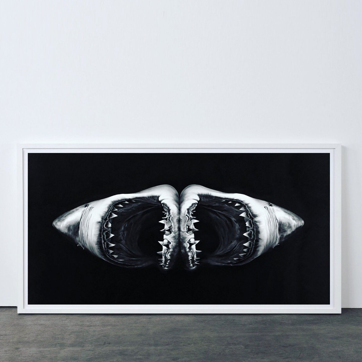 Robert Longo tweet media