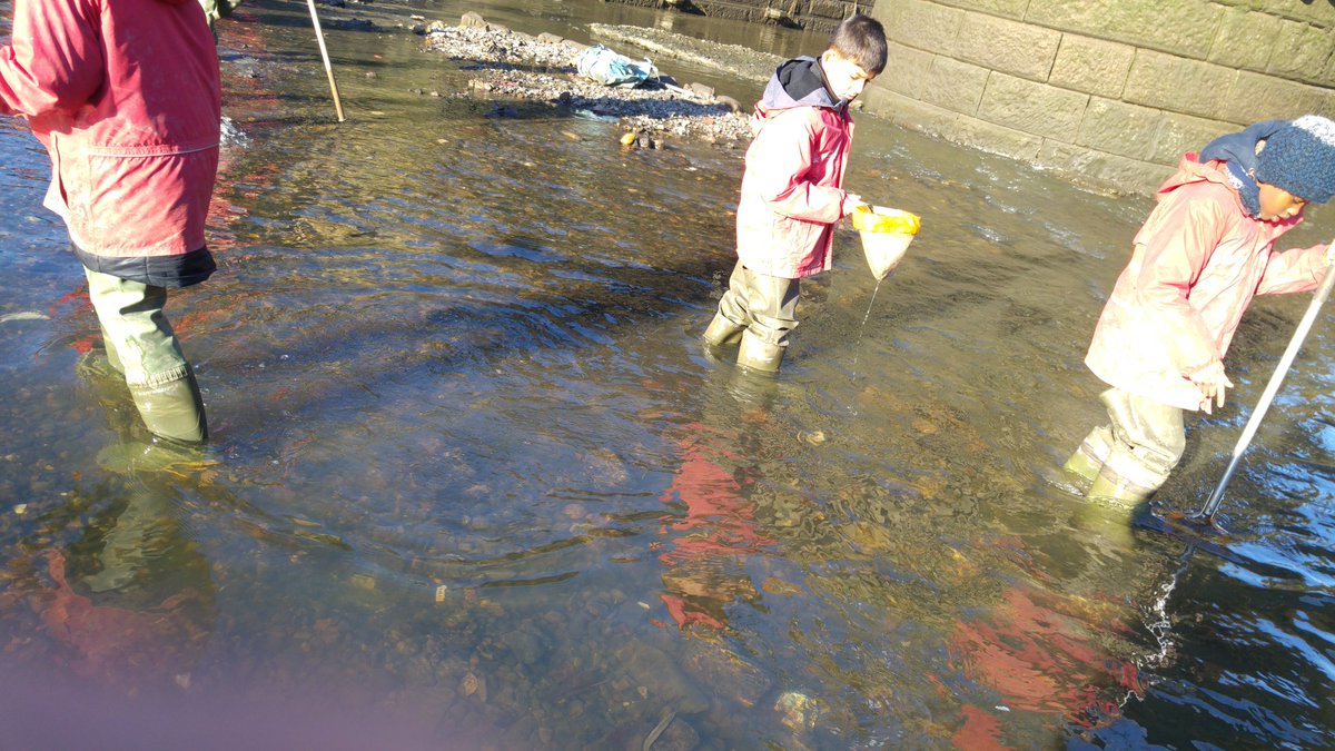A fantastic day exploring rivers and how they are formed! <a href="/Creekside_Trust/">Creekside Discovery Centre</a> <a href="/WoodhillSchool/">Woodhill School</a>