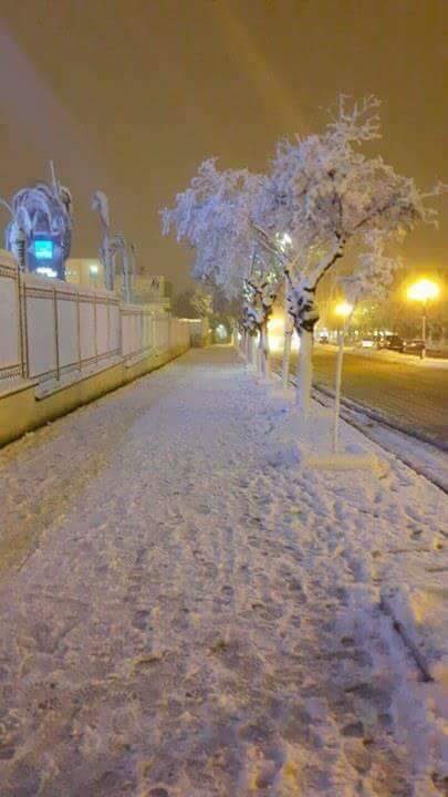 العرب يحبون الجزائر ولكنهم لايعلمون أنها بهذا الجمال وعلى حكومتها أن تعمل بجهد أكبر للترويج لبلد بهذه الروعة