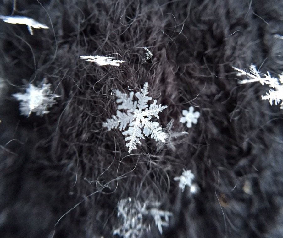 arakencloud's tweet photo. 金曜日20日の関東の雪について⑪：スマホ最大ズーム×接写でも十分結晶構造見えますが，スマホ用マクロレンズをつけるとこんな感じで撮れます．綺麗で楽しいのでぜひお試しを．気象研「#関東雪結晶 プロジェクト」へのご協力よろしくお願いします！https://t.co/RMUKOYJx9m https://t.co/V24ykfyyKQ