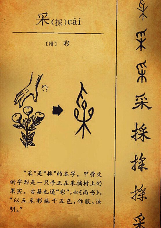 ClassicChina's tweet photo. The origin of Chinese character "采" (pluck) and its script evolution

The origin:
A hand plucking a flower https://t.co/O6YK6sd5O6