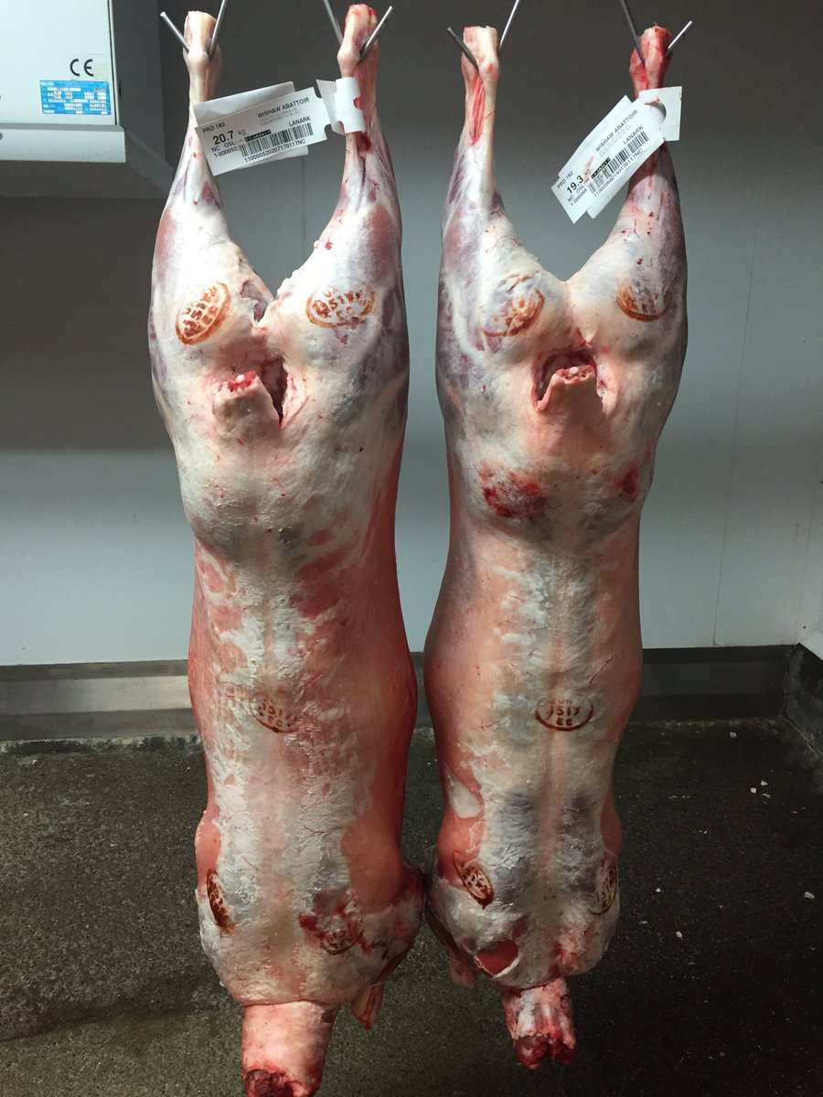 MacDuff1890's tweet photo. @scotchbeefshop some lovely #macduffbeef and #macduff #lamb coming down to you! Looking forward to hearing what you think. #sampleorder https://t.co/gISdUaduSF