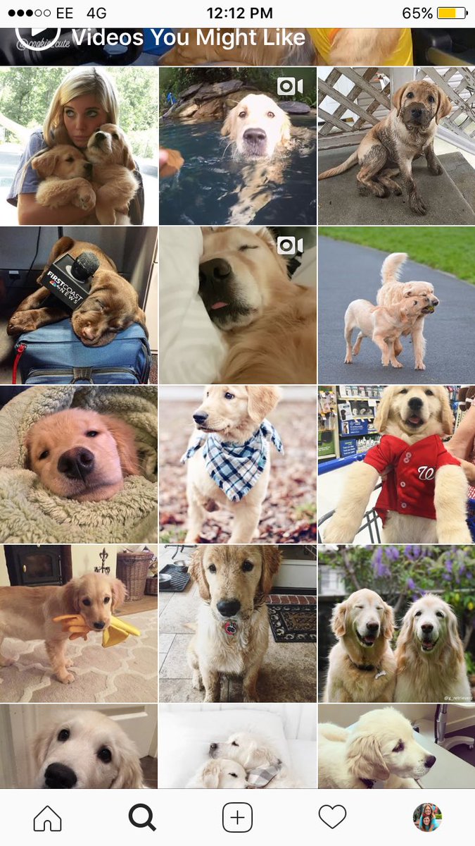 ThinkBroadley's tweet photo. My explore tab on Instagram is everything https://t.co/s1MlqpdRzD