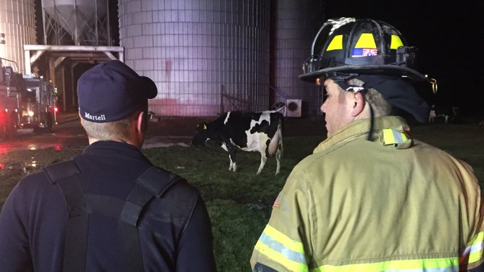 View image on Twitter