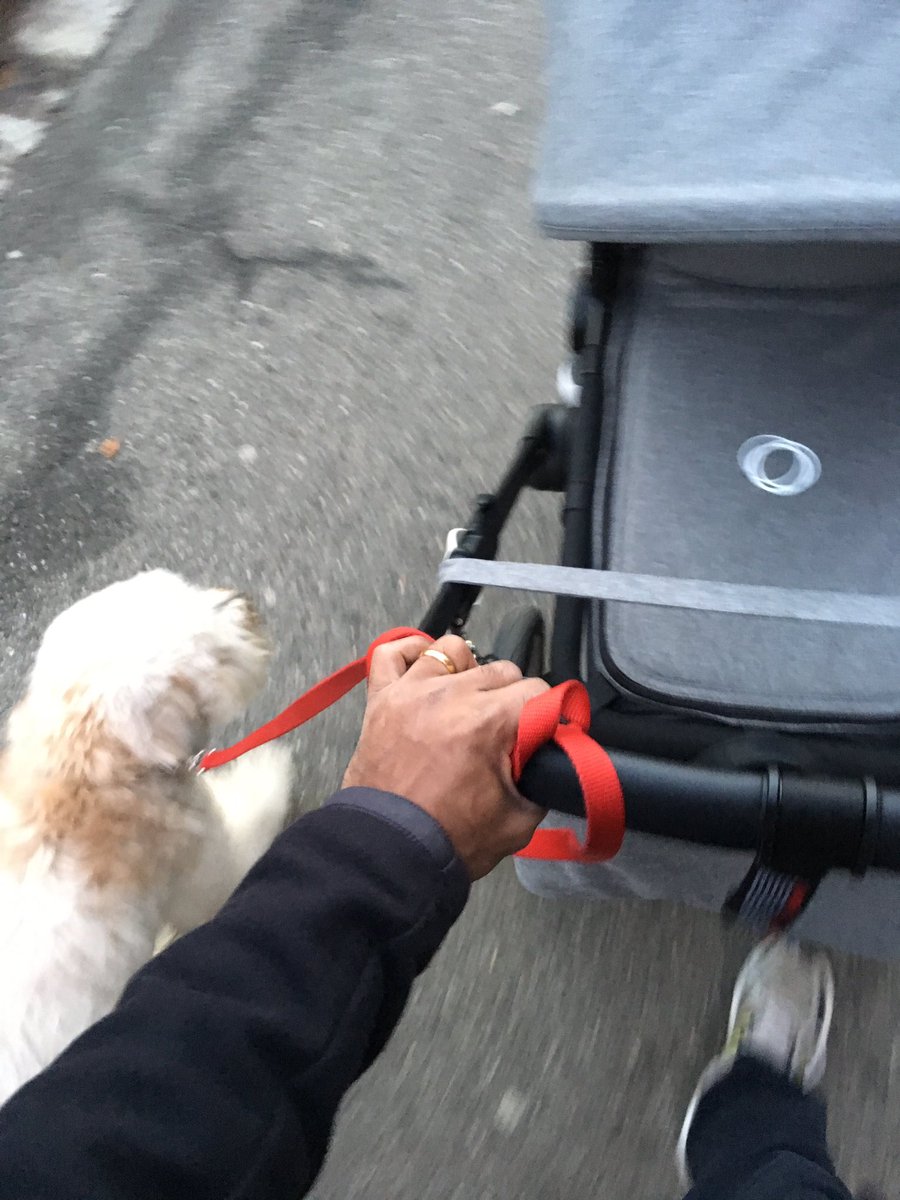 _amkumar's tweet image. "A Whole New World" 
#NewAgeDad #audreythewheaten #bugaboo #disneythenewnorm