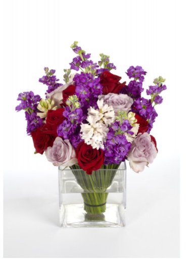 NichlasVilsmark's tweet photo. Valentine's Day https://t.co/EF7ymKjID0 https://t.co/K3ntz3JRET