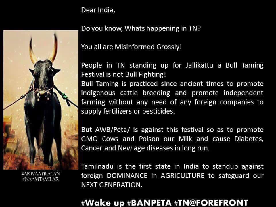 MassSaravanan's tweet photo. This s watJallikattu and We ppl r protesting not only fr TN but fr da Entire Native Cattle Breeds in the Nation #StandwithTN #SaveJallikattu https://t.co/DWh2cDLLw0