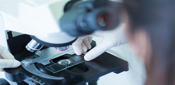 clinical_th's tweet photo. #Billions are spent on #clinicalresearch that gets ignored – here’s the answer CRC #Stockholm #conference https://t.co/sw0dFaPPVI https://t.co/FF4BOJejRC