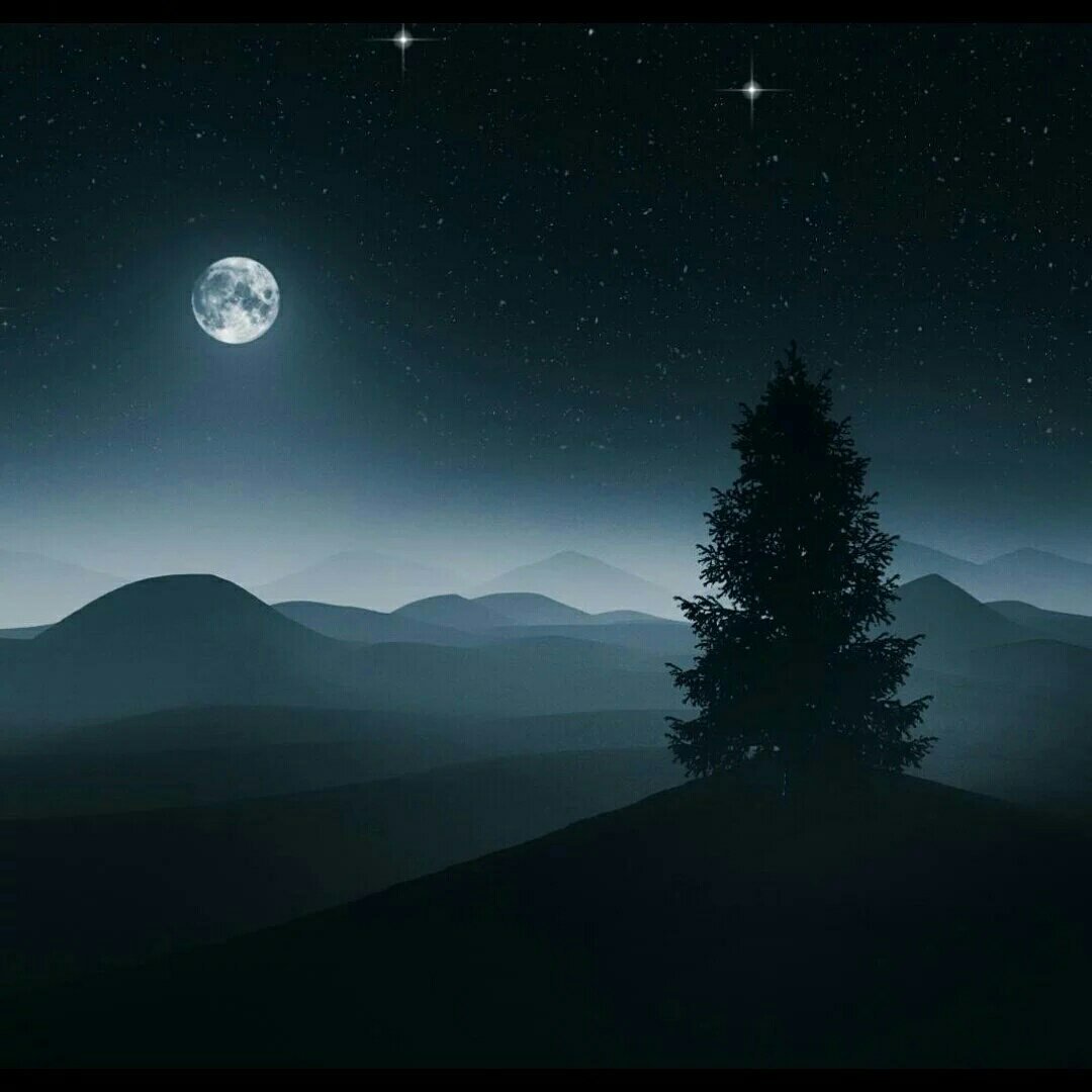 k_sa_90's tweet photo. نجود بـ الموجود كان الزمن  شح
والناس ما عشنا الحياة بـ رجاهم
نروح للناس ونجي بـ الوفا صح
لكن ما نرجيهم  ونمشي وراهم ✨ https://t.co/0J1idhf4zl