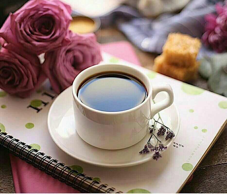k_sa_90's tweet photo. دنياك يا صاحبي ...حظوظ ومقادير
تضحك ...معك  والله يعينك عليها

ناس(ن) بقوة حظها تطرح الطير
وناس(ن) تطير طيورها من يديها https://t.co/DTTb7E1Jz2