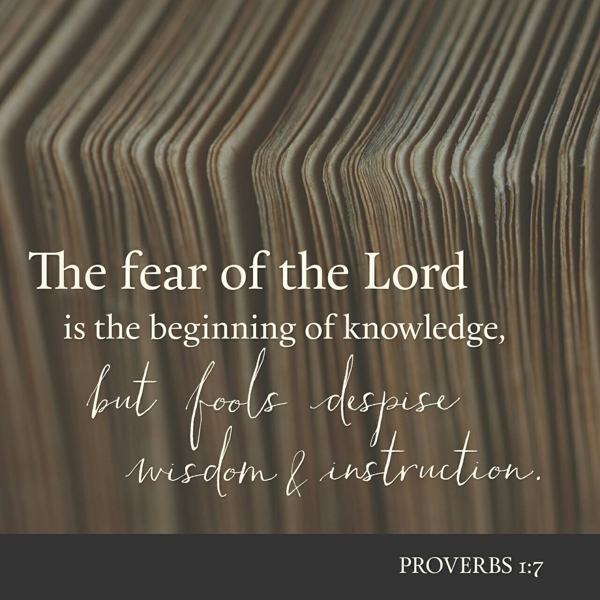 Heavenly175's tweet photo. The fear of the Lord  is the beginning of knowledge, But fools despise wisdom and instruction.
Proverbs 1…
https://t.co/YBzpM9QsDO https://t.co/GqKLQ5vWiY