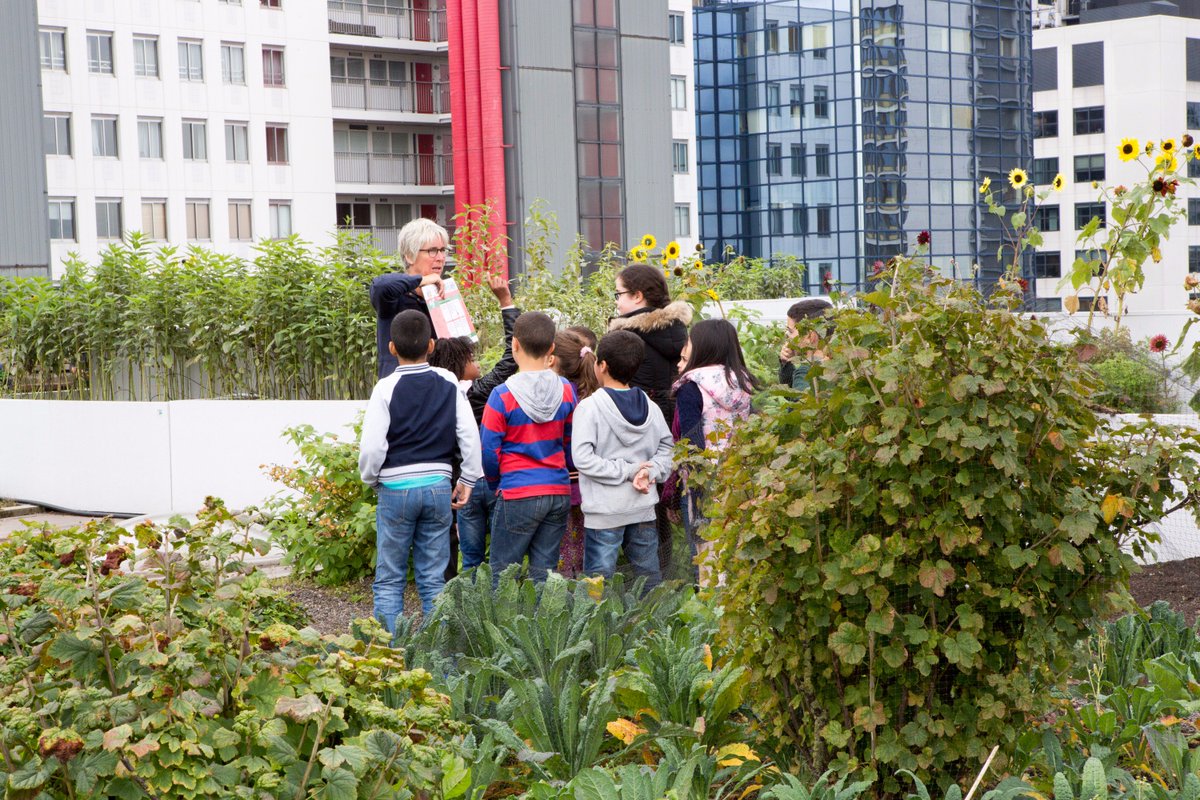 Dakgaarden's tweet image. Een boekje open over ¿?dakennie¿? op de #DakAkker: #educatieprogramma op de grootste #dakboerderij van de Europa: milieucentrum.rotterdam.nl/site/dat-kan-t…