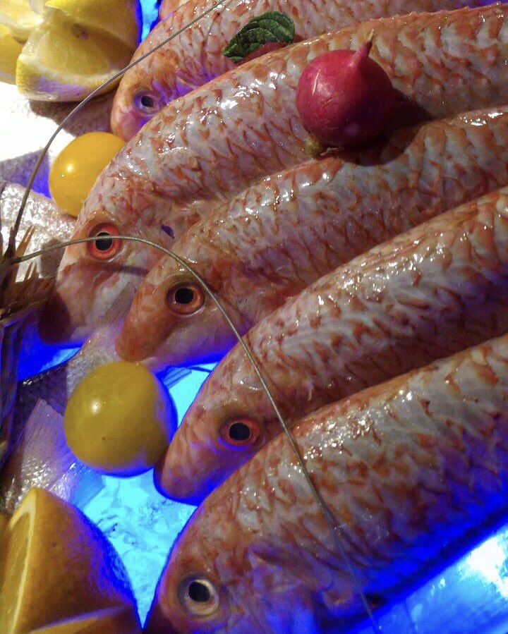 Olives Doha (doha_olives) Twitter