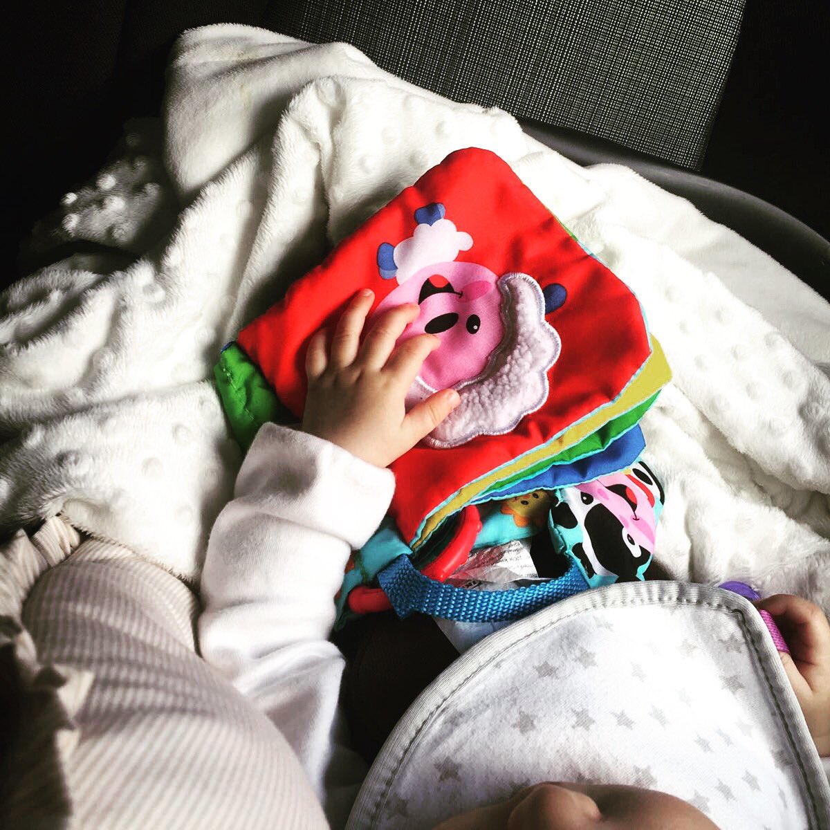 libromorado's tweet photo. Es uno de sus juguetes preferidos, un libro 📖 #momentoscarolina #readingbaby #desdepequeña #bookstagram #bookbaby https://t.co/llepHYF0ZN