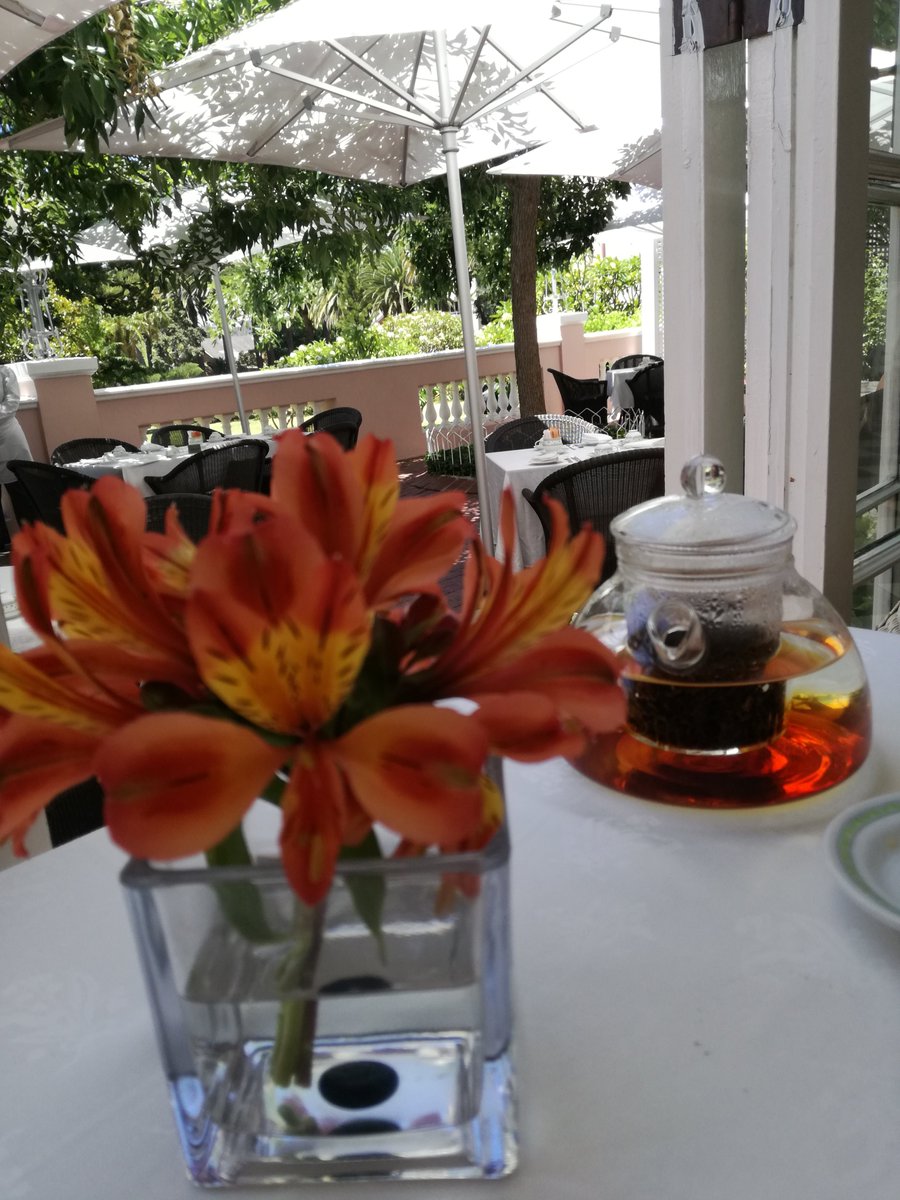 genieg79's tweet photo. #afternoontea @themountnelson amazing experience and service out of this world! definitely recommend it! https://t.co/C9FUiFDs0p