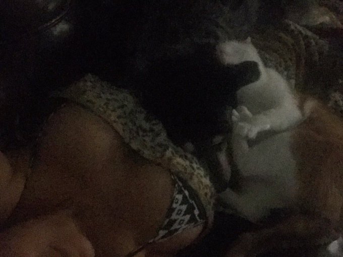 George joins us https://t.co/3EiQVileAm