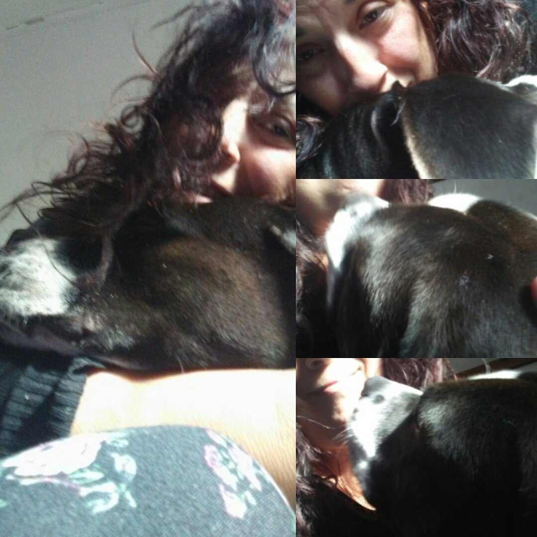DoreneShaver's tweet photo. #pets are great #thearapy!have u #hugged ur #pet or #dog🐶😸 today?i did my #lovablelaceytheprettypittie 😍 https://t.co/pOVGsps6jo