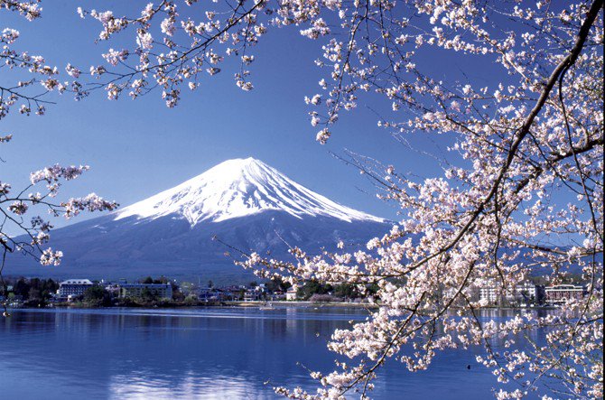 Mt.Fuji and sakura
