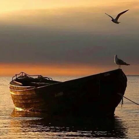 i_saod_'s tweet photo. قال تعالى ﴿ فمَا ظَنگُم بِرَبِّ العَالَمِينَ ﴾... هنا الأمل ، هنا الأمان ،هنا السعادة، هنا الرحمة .. https://t.co/qsPmPKkOUJ