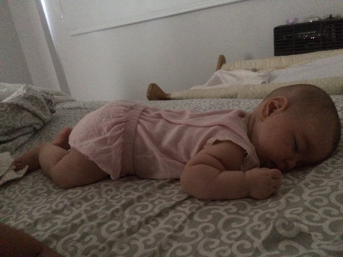 Él chancho durmiente