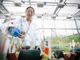 SEEDSandCHIPS's tweet photo. How #ArtificialIntelligence could change the #FutureOfFood
https://t.co/b2wCjAeOfW @getLittleBird 
#FoodTech #FoodInnovation https://t.co/ZVkokZJwjh