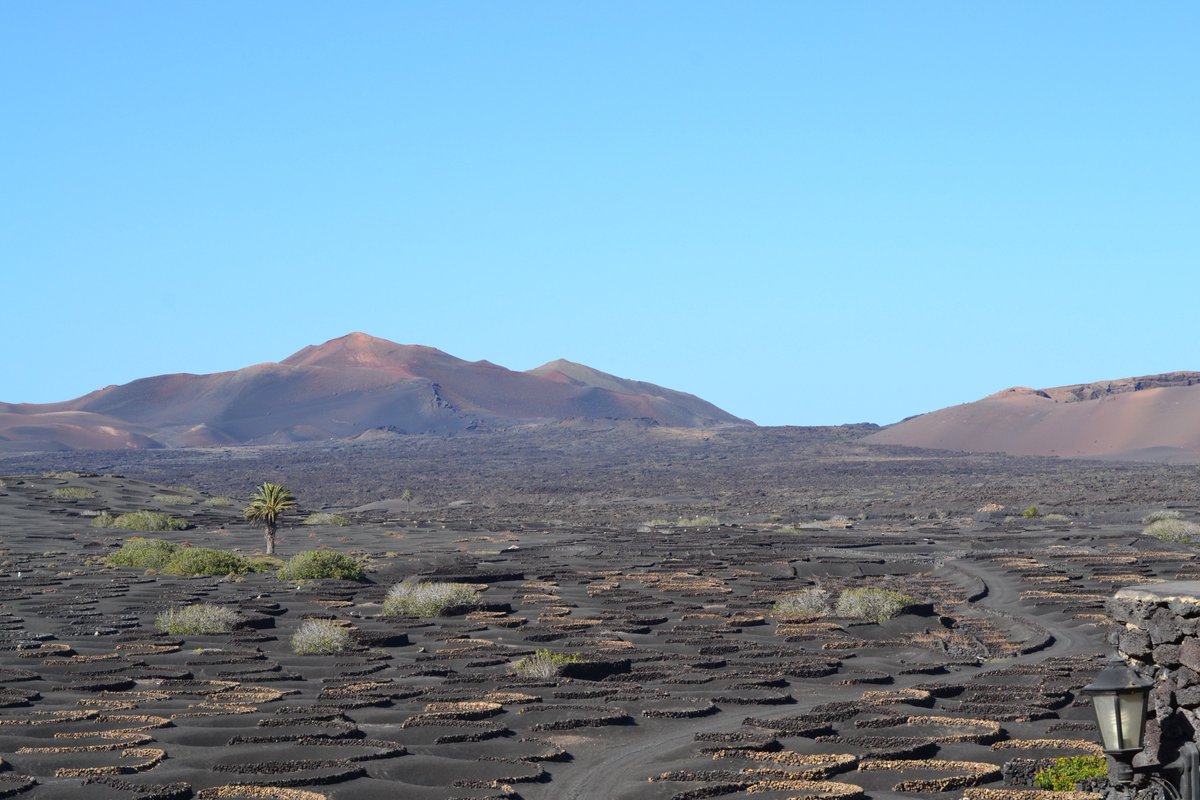 giuseppedc90's tweet photo. If you love the @CanaryIslandsEN don't forget to submit a vote for my blogpost! https://t.co/2kAAqRnwAa @CanaryWines @lanzarote @TurismoLZT https://t.co/lNzfWKIdap