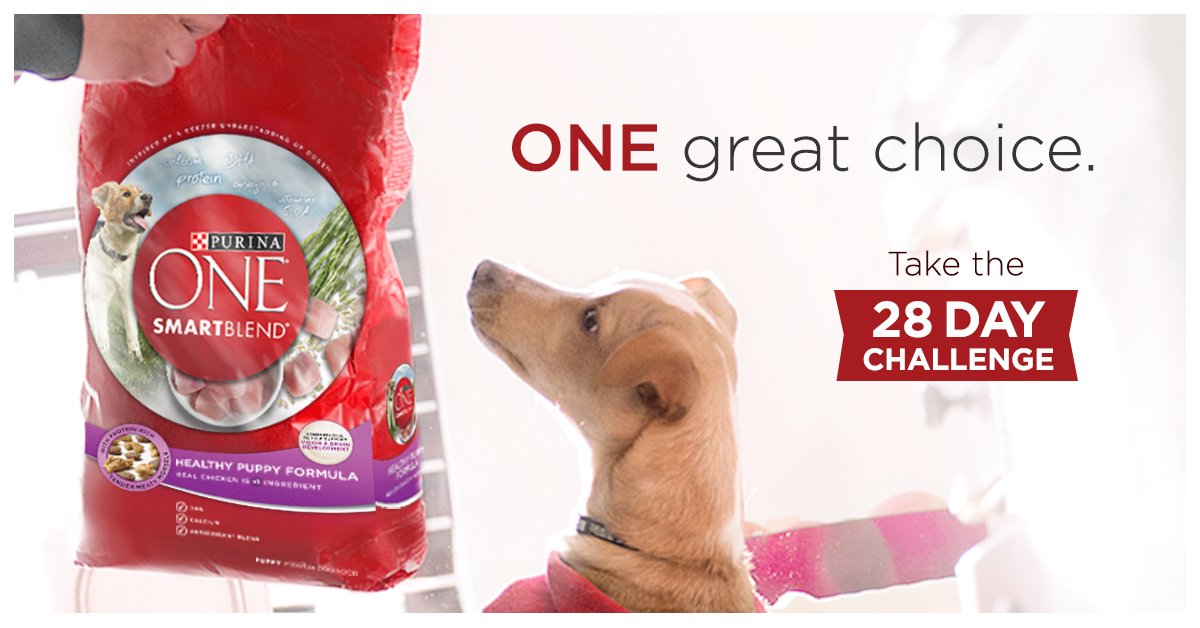 28 day challenge purina
