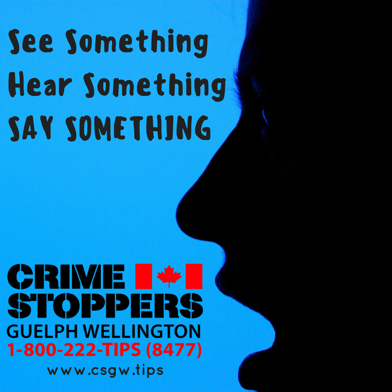 CSGWtips's tweet photo. It's YOUR community...MAKE THE CALL! #CrimeStoppersMonth #Guelph #Wellington #anonymous #reward #cash https://t.co/Agvi24wsrb