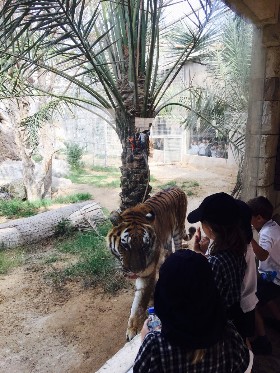 BCADyear2's tweet photo. Great trip to @EmiratesParkZoo today. Lots of memories made, knowledge gained and stories to be told 😁 #bcadactivities https://t.co/VqKjOpPaVc