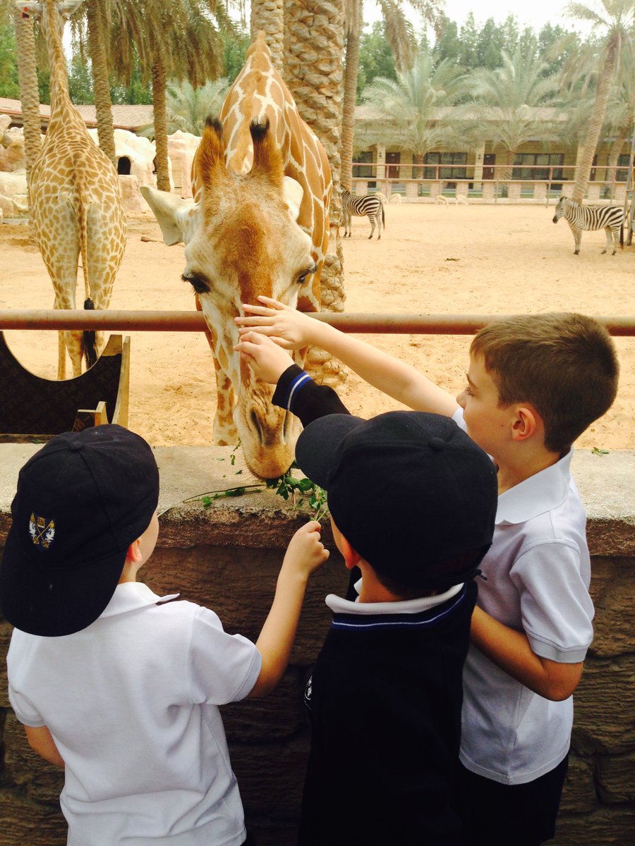 BCADyear2's tweet photo. Great trip to @EmiratesParkZoo today. Lots of memories made, knowledge gained and stories to be told 😁 #bcadactivities https://t.co/VqKjOpPaVc
