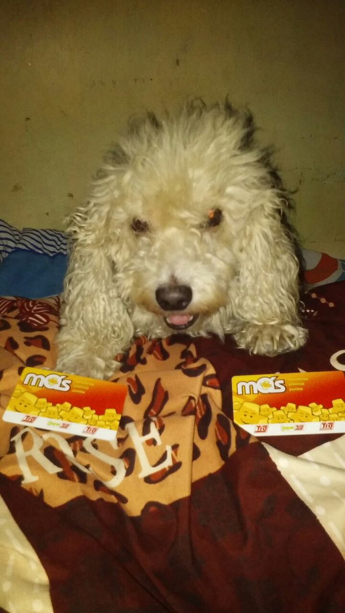 Susan_coello's tweet photo. @AmigazosGAMA #masamigazoscontia aquí estoy para ver si tengo suertecita.06016752024145 https://t.co/FaiA5a5e1n