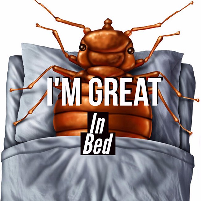 ResourceBedBug's tweet image. Don&apos;t panic if you find 1 #BedBug bit.ly/2iFipo9 #ResourceBedBug can provide a #BedBugSolution @ResourceBedBug #BedBugPestControl