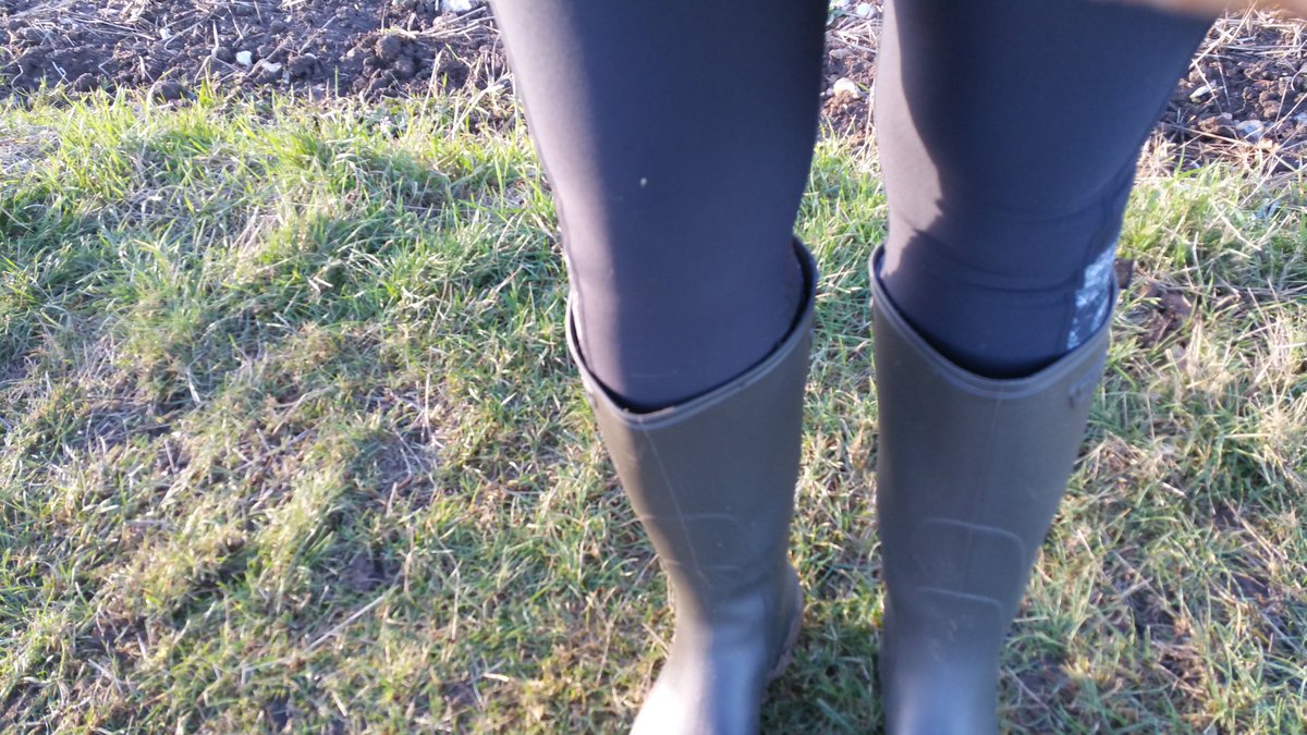 KatieMagnet's tweet photo. #welliewatch gorgeous crisp day today x https://t.co/aLMfp0mk6P