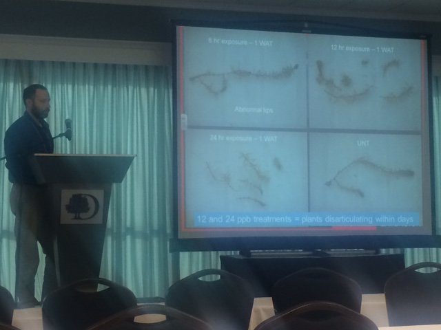 StewardsOfWater's tweet photo. Dr. Rob Richardson, NCSU, presenting research updates on Procellacor our newest aquatic herbicde technology at #SCAPMS. The storm is coming! https://t.co/fNP6DsjbVW
