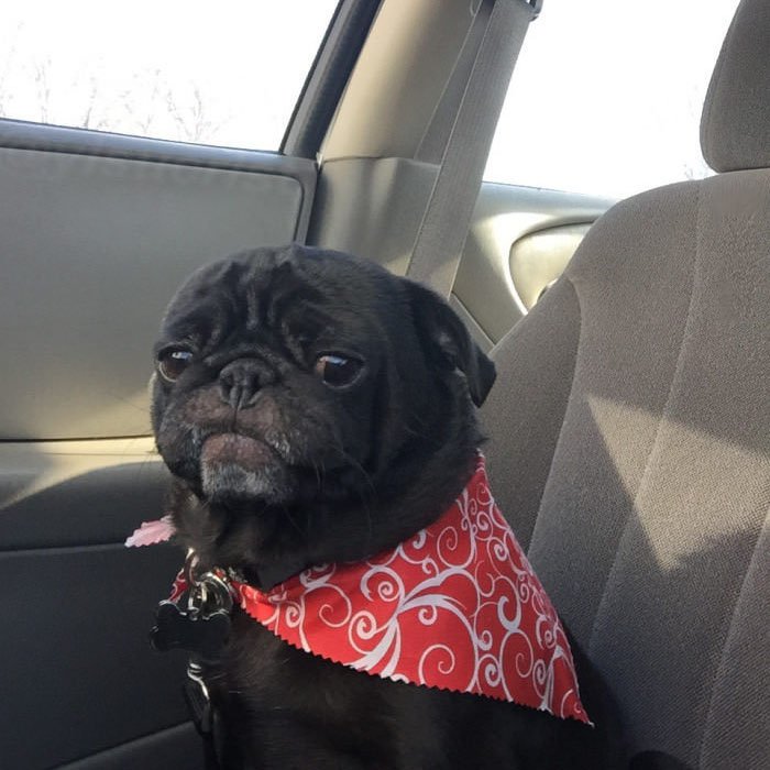 cuando vas camino a clase y recuerdas lo calentito k se staba en la cama