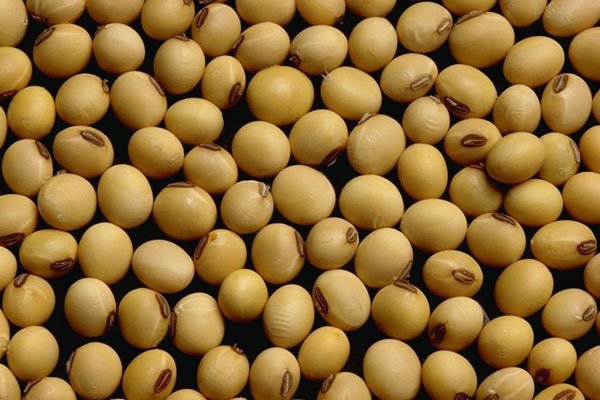 fosterk96's tweet photo. The plans are made 4 spring planting. It looks like a shift in what is planted. Check out what @FarmFutures says is in the cards. #soybeans https://t.co/wDMt7Qrhbe