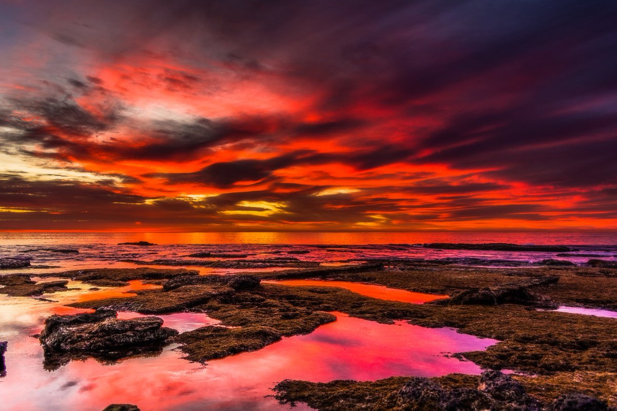 Ambertarian's tweet photo. Passionate Ending

https://t.co/BWZqb9eRWt https://t.co/c3QsfNVppH