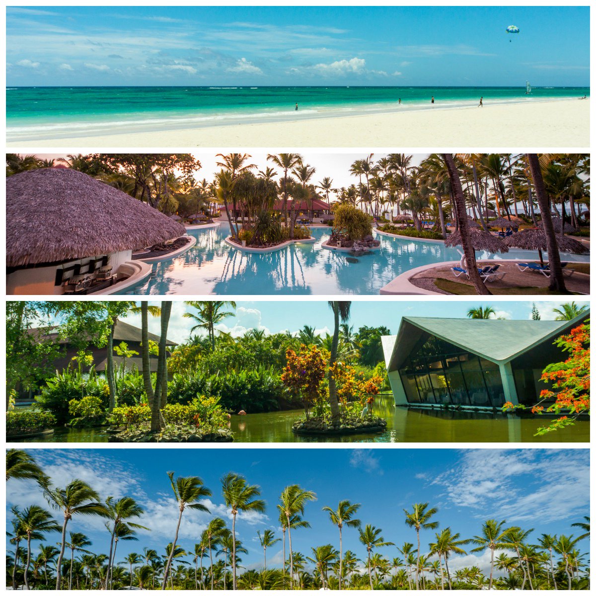 PrincessHotels's tweet photo. #ItsTimeToAppreciate The beauty that surround us.
#BavaroPrincess #PureVacations
Booking at reservas@princess-hotels.com https://t.co/b2dtpZ74Nf