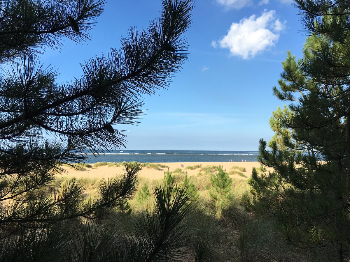 Dreaming of summer? 

Wells beach was voted Sunday Times British beach of the year last year - time you visited?