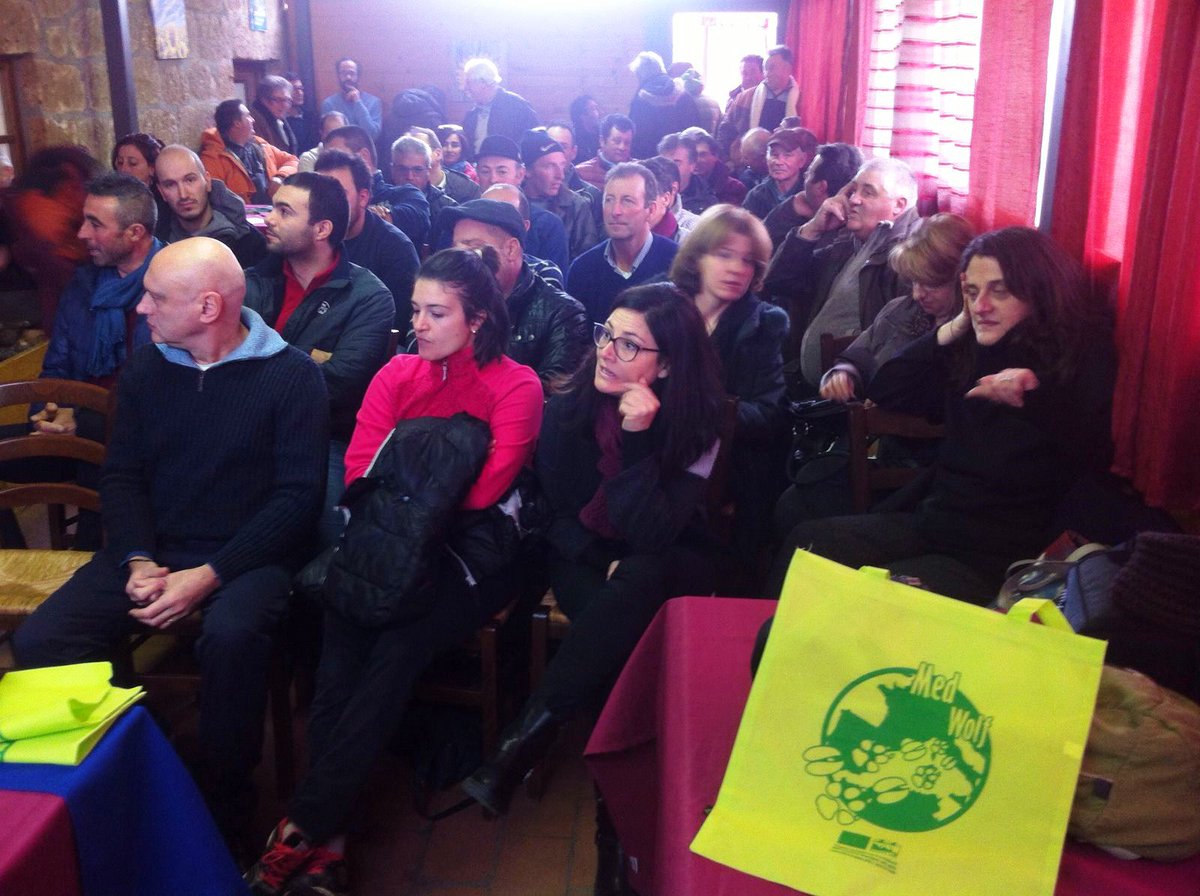 lifemedwolf's tweet photo. Predazioni in Maremma: a Sorano l'incontro del progetto #Medwolf con gli allevatori della provincia di Grosseto. https://t.co/8kH5J96sCB https://t.co/y8K2NRgVzn