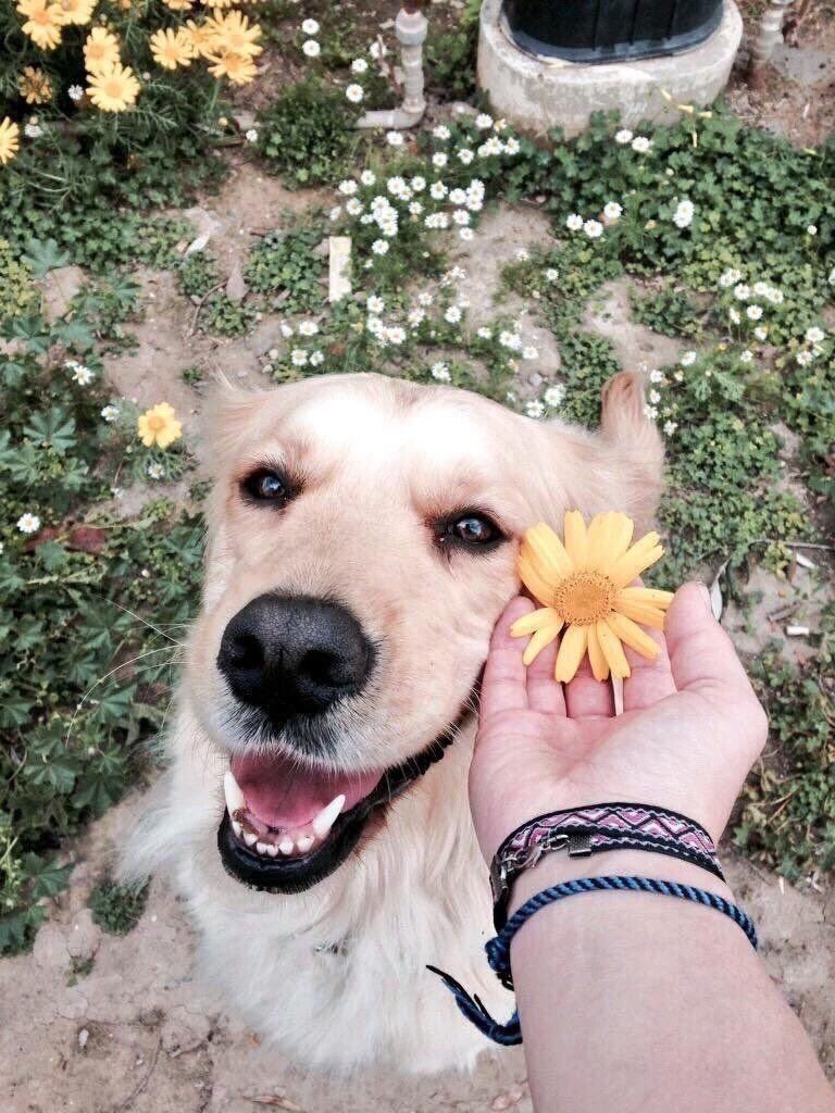 bruxaodara's tweet photo. repassem até atingirmos a paz mundial https://t.co/R3YFPlPzS9