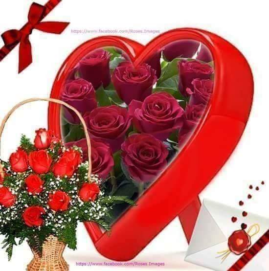 يمني (@adel02208475) on Twitter photo 