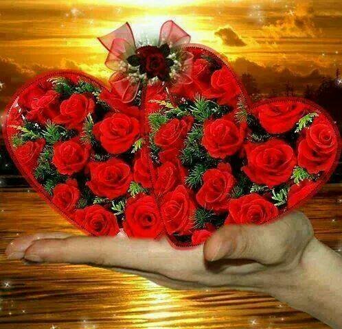 يمني (@adel02208475) on Twitter photo 