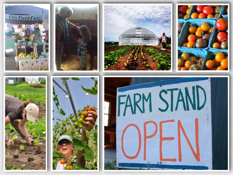 chelliepingree's tweet image. I hope Ag Sec nom Sonny #Perdue understands one size does not fit all in farming. My thoughts: bit.ly/2k7en8q #TrumpTransition