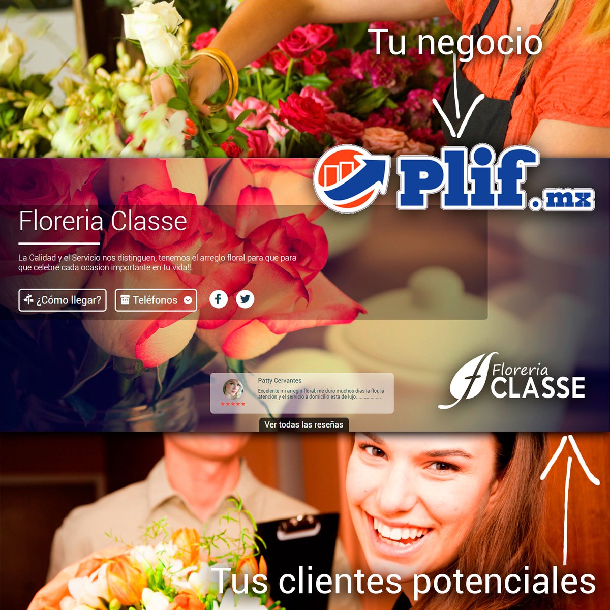 plifmx tweet picture