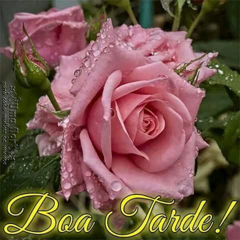 possant. (@possant4) on Twitter photo 